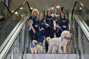 Canine Concern Airpaws Crew