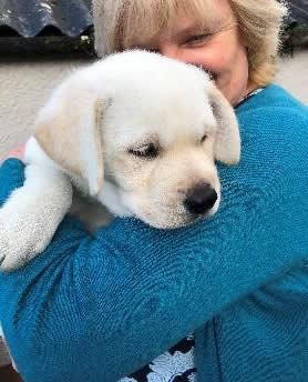 Konnar training for Canine Concern